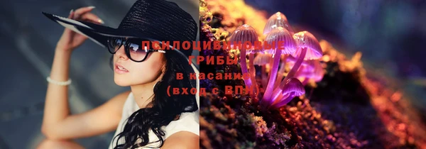 дмт Алексеевка
