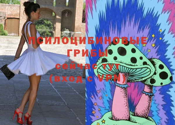 дмт Алексеевка