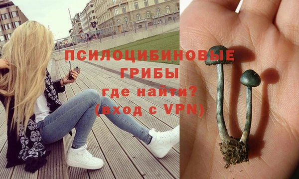 mdpv Алзамай