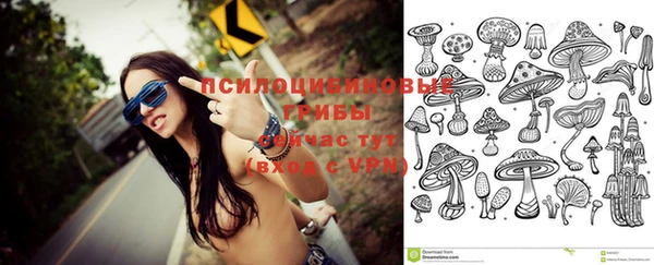 mdpv Алзамай